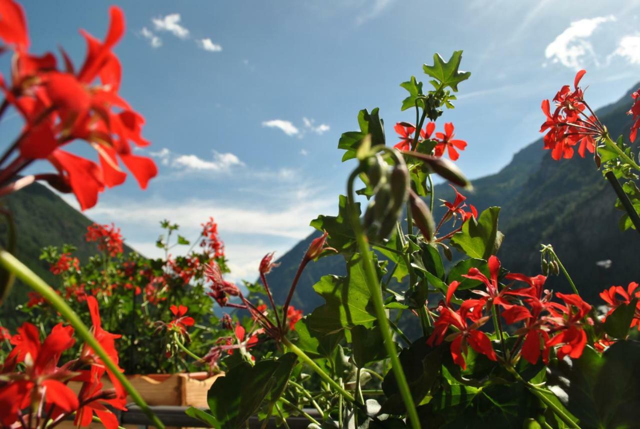 Hotell Millefiori- Alpine Event Lodge Valtournenche Exterior foto